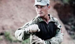 战狼电视剧,铁血雄心，捍卫家国